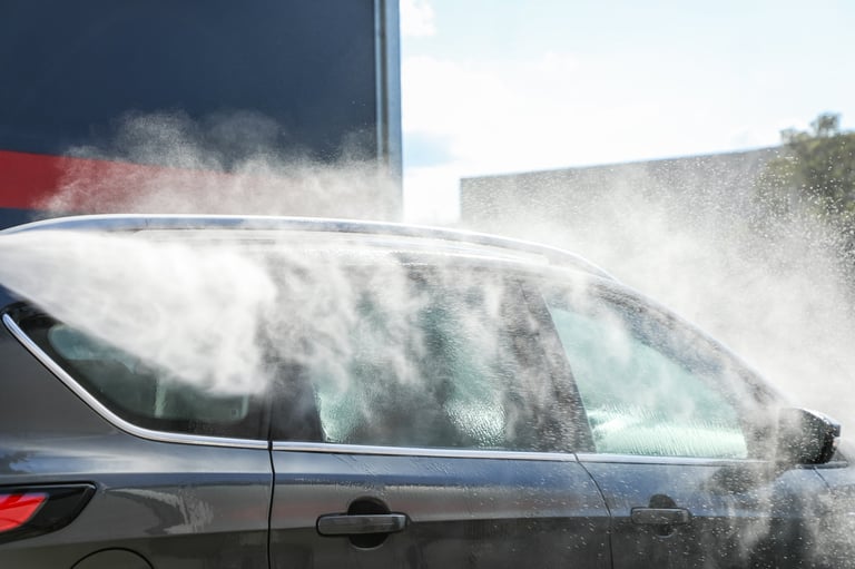 Professional car wash